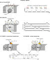 Thumbnail for version as of 02:43, 23 May 2014