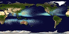 All tropical cyclone tracks worldwide since 1950