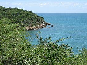 Guánica State-forest.jpg