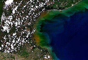 Залив Парита NASA.jpg