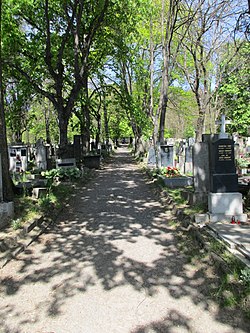 Hřbitov v Hlubočepích