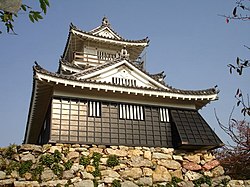 Hamamatsu castle.jpg