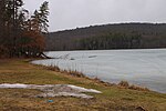 A View of Harris Pond in 2015