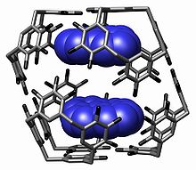 An example of a supramolecular assembly. Host Guest Complex Nanocapsule Science Year2005 Vol309 Page2037.jpg