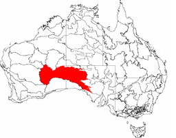 IBRA 6.1 Great Victoria Desert.png