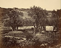 The Garden of Gethsemane, 1857