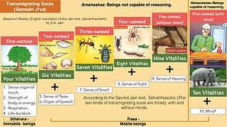 Classification of Samsari Jivas (Transmigrating Souls) in Jainism.According to Sacred Jain text, Sarvarthasiddhi: "Immobile beings (sthavara jivas) possess the four vitalities of the sense-organ of touch, strength of body or energy, respiration and life-duration. Jiva.jpg