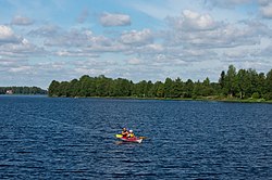 Melojia Lammasjärvellä heinäkuussa vuonna 2010.