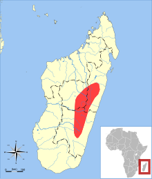 Web-footed tenrec range