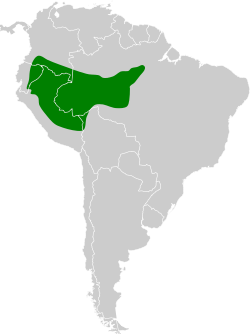 Distribución geográfica del tapaculo amazónico.