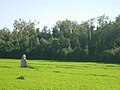 Menhir de la Grande-Pierre à Saint-Aubin