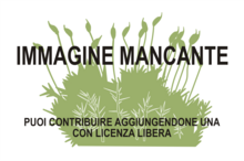 Immagine di Warnstorfia fontinaliopsis mancante