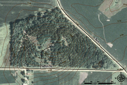 Piloto Mound State Forest Aerial Topo.png