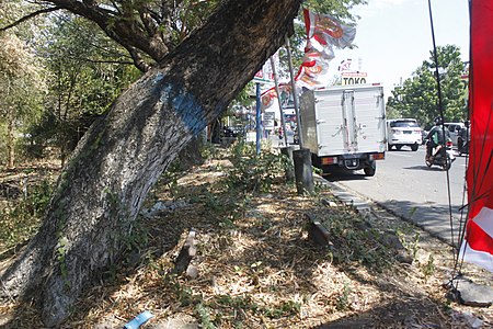 Kondisi jalur dengan bantalan rel dan rel yang terpotong. Arah foto menuju ke Stasiun Ponorogo