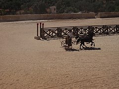 Representación moderna de una carrera de carros de la Roma antigua en Jerash (Jordania).