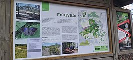 Ryckevelde