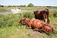 Lincolnshire Reds (2006)