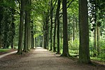 Vignette pour Arboretum de Tervuren