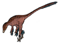 Stenonychosaurus (=Troodon?)