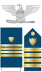 USCG O-6 insignia.svg