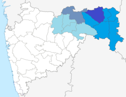 Dark Blue: Nagpur District Blue: Nagpur Region Grey: Amravati District Light Blue: Amravati Region