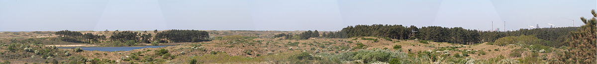 Uitzicht op het vogelmeer en omgeving