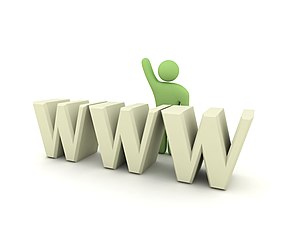 www,domain,internet,web,net