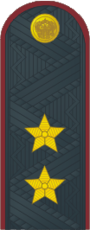 Генерал лейтенант ФСИН №.png