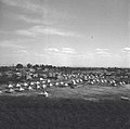 Ramat David military camp 1940