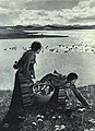 1963-03 1963年 拉萨天鹅湖畔