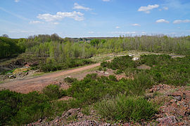 Grand terrain vague au sol rougeâtre en partie recouvert par la végétation.