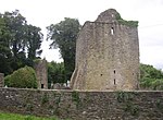 Aghaviller ruined church and round tower, Newmarket, Co. Kilkenny - geograph.org.uk - 206920.jpg