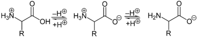 Struktur von Aminosäuren bei unterschiedlichen pH-Werten