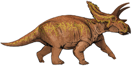 Az Anchiceratops rekonstrukciója