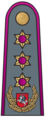 Lietuvos generolo leitenanto antpetis