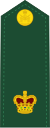 Canadian Army OF-3.svg