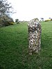 A standing stone in a field