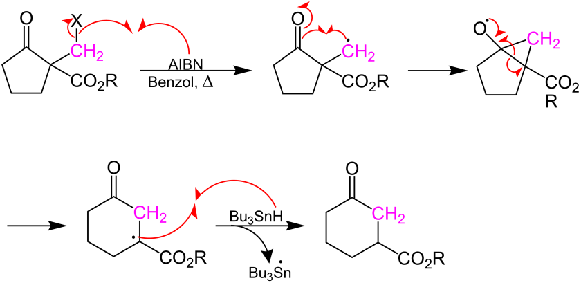 Mechanismus der Dowd-Beckwith-Ringerweiterung