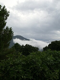 Skyline of Carbini