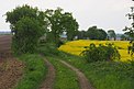 Feldweg Marsdorf–Medingen