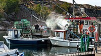 Fishermen preparing lobster traps in Norra Grundsund