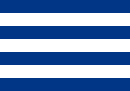 Bandeira de Cerro Largo