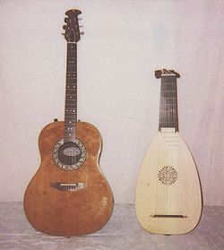 plucked string instruments