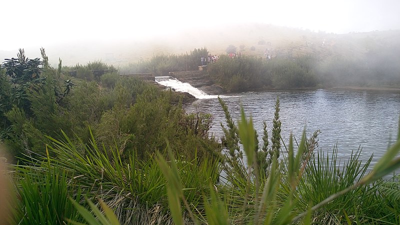 படிமம்:Horton Plains.jpg