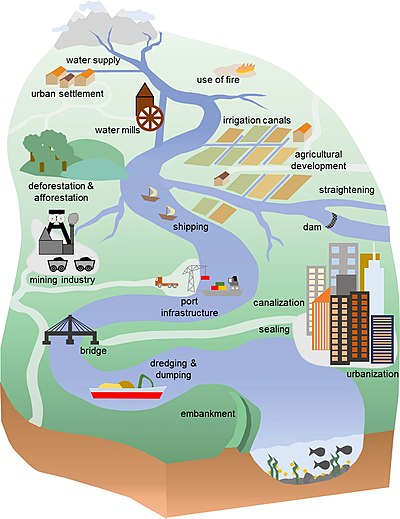 Anthropogenic influences on river systems. Examples are mainly from settings with a modest technological influence, especially in the period of about 10,000 to 4000 cal yr BP. Human impact factors on river-floodplain systems.jpg