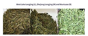 Verschiedene Longjingsorten – Xihu- (l.), Zhejiang- (m.) und Wuniuzao-Longjing (r.), 2019