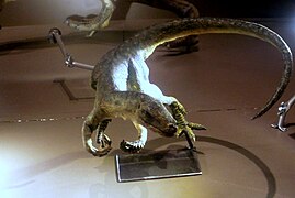 Recreación paleoartística de Marasuchus