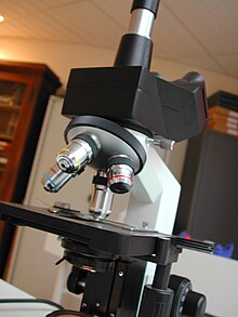 comment trouver le grossissement au microscope