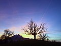 36 views of Mount Pilatus - Berg und Silhouette von Bäumen