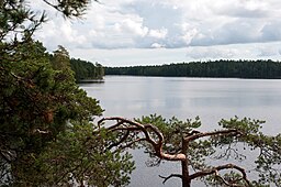 Nävsjön från utsiktsberget.